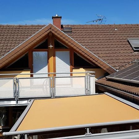 Appartment Sonnenblick Dielheim エクステリア 写真
