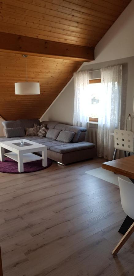 Appartment Sonnenblick Dielheim エクステリア 写真