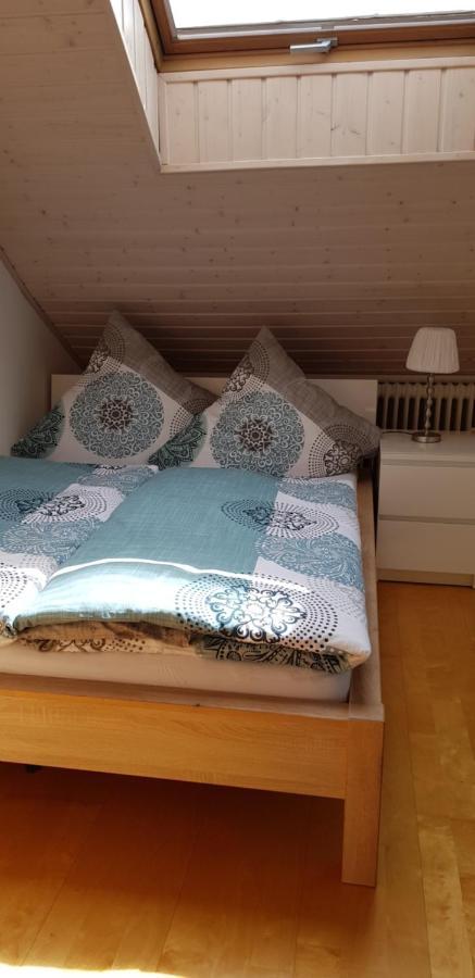 Appartment Sonnenblick Dielheim エクステリア 写真